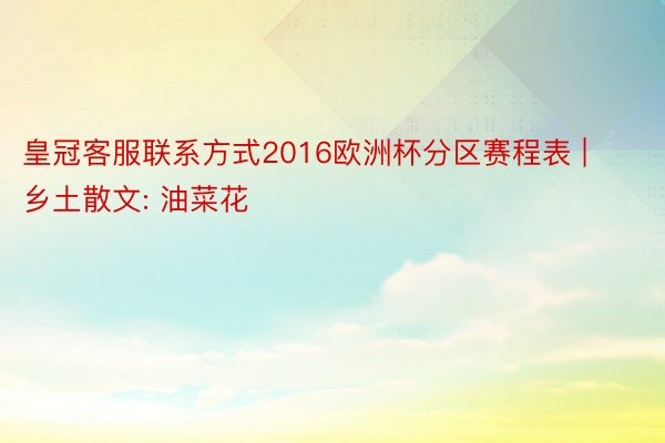 皇冠客服联系方式2016欧洲杯分区赛程表 | 乡土散文: 油菜花