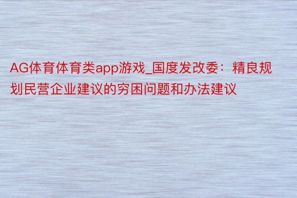 AG体育体育类app游戏_国度发改委：精良规划民营企业建议的穷困问题和办法建议