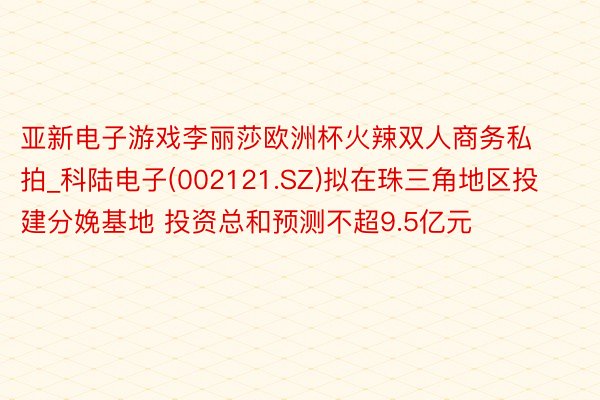 亚新电子游戏李丽莎欧洲杯火辣双人商务私拍_科陆电子(002121.SZ)拟在珠三角地区投建分娩基地 投资总和预测不超9.5亿元