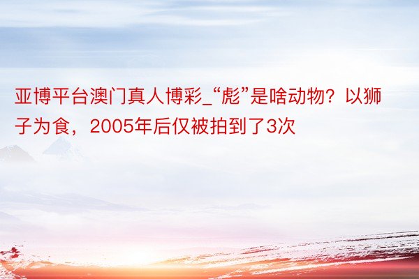 亚博平台澳门真人博彩_“彪”是啥动物？以狮子为食，2005年后仅被拍到了3次