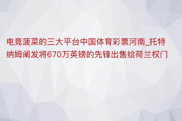 电竞菠菜的三大平台中国体育彩票河南_托特纳姆阐发将670万英镑的先锋出售给荷兰权门